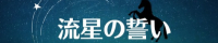 流星の誓い11/真・三國無双