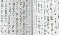 とじしろ10mmの例