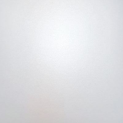 シェルルック<b>人気商品!</b>